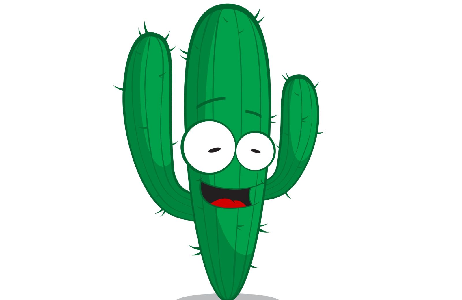 Quanta acqua dare a un cactus?