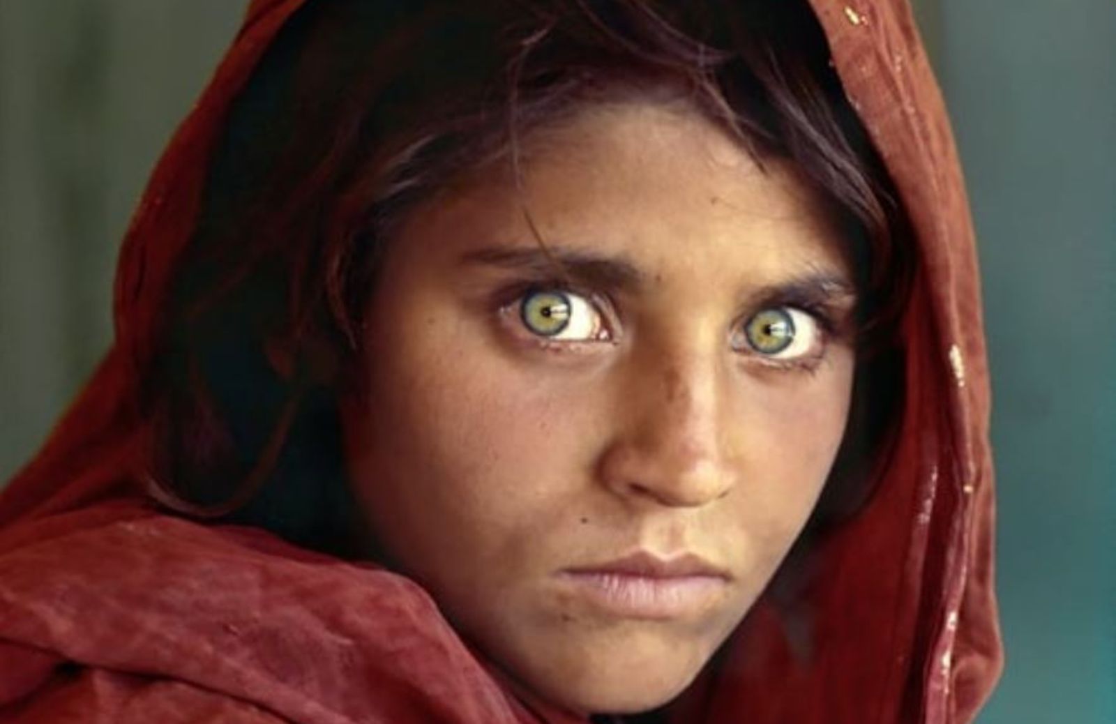Fotografi famosi: i 10 scatti perfetti di Steve McCurry
