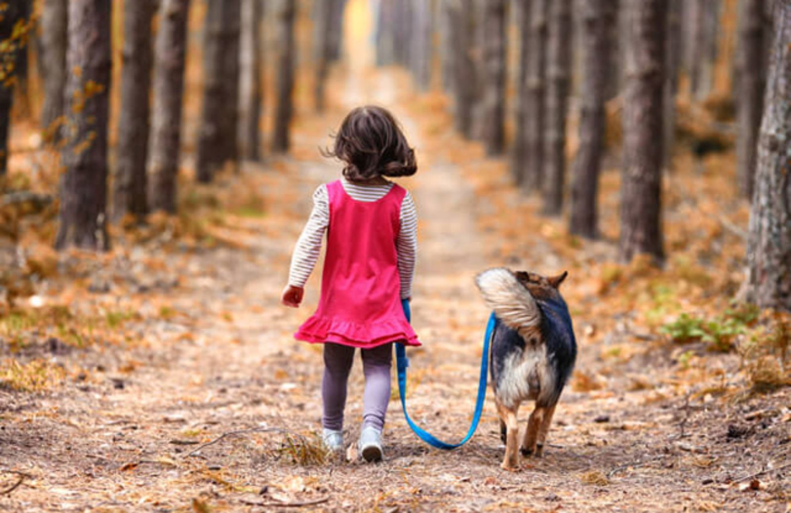 Bambini e animali: le 10 regole d’oro da rispettare