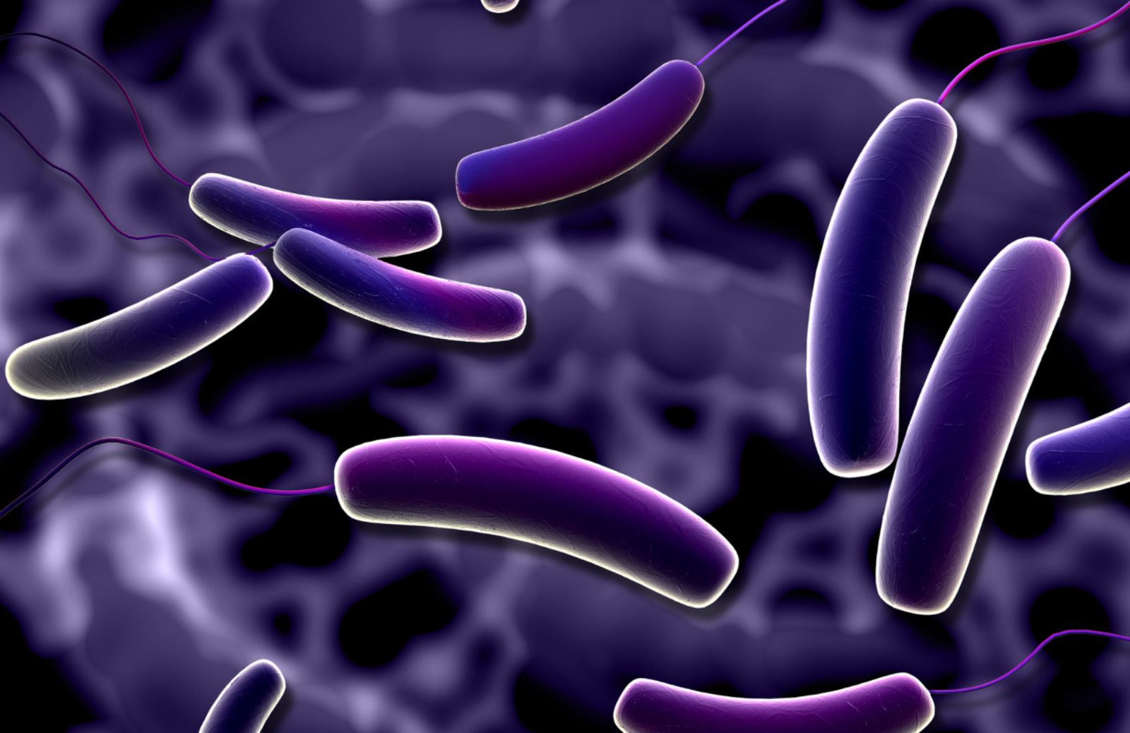 Antibiotici: identificato batterio portatore della super resistenza