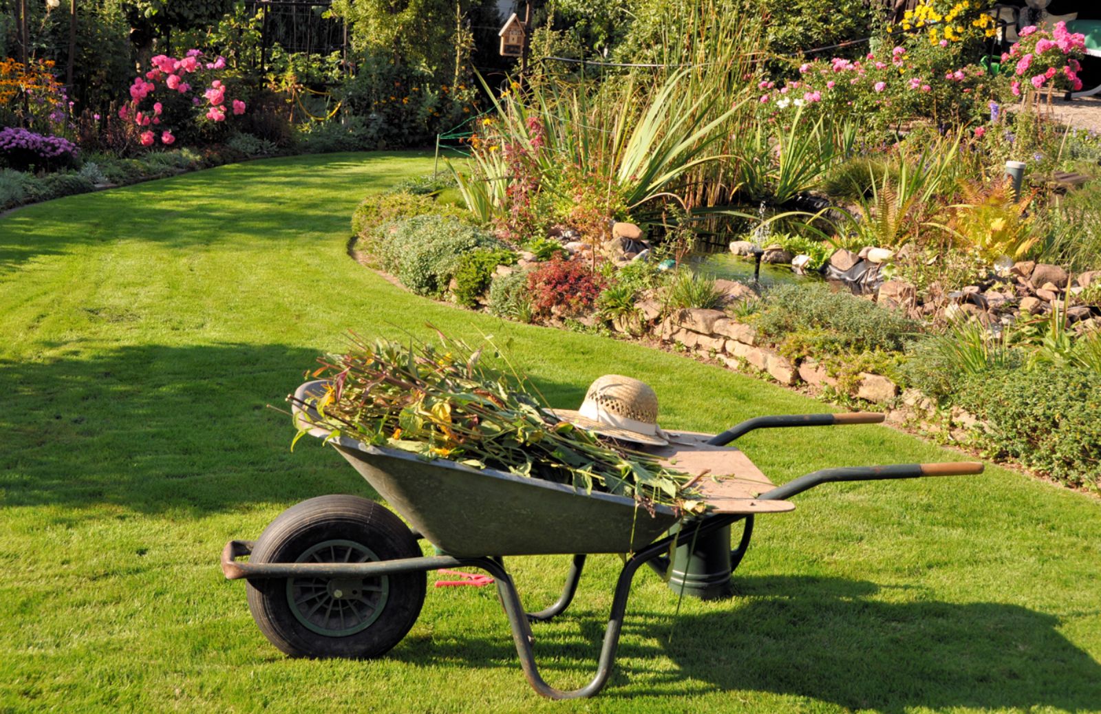Come curare l'orto e il giardino a settembre: il calendario dei lavori