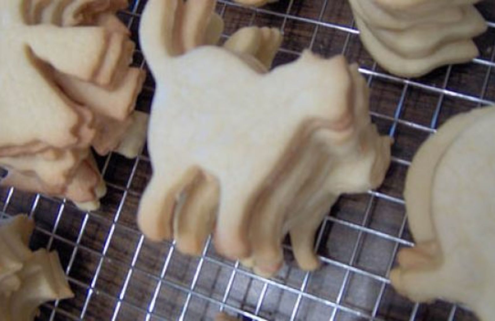 Come fare i biscotti di Halloween per gatti