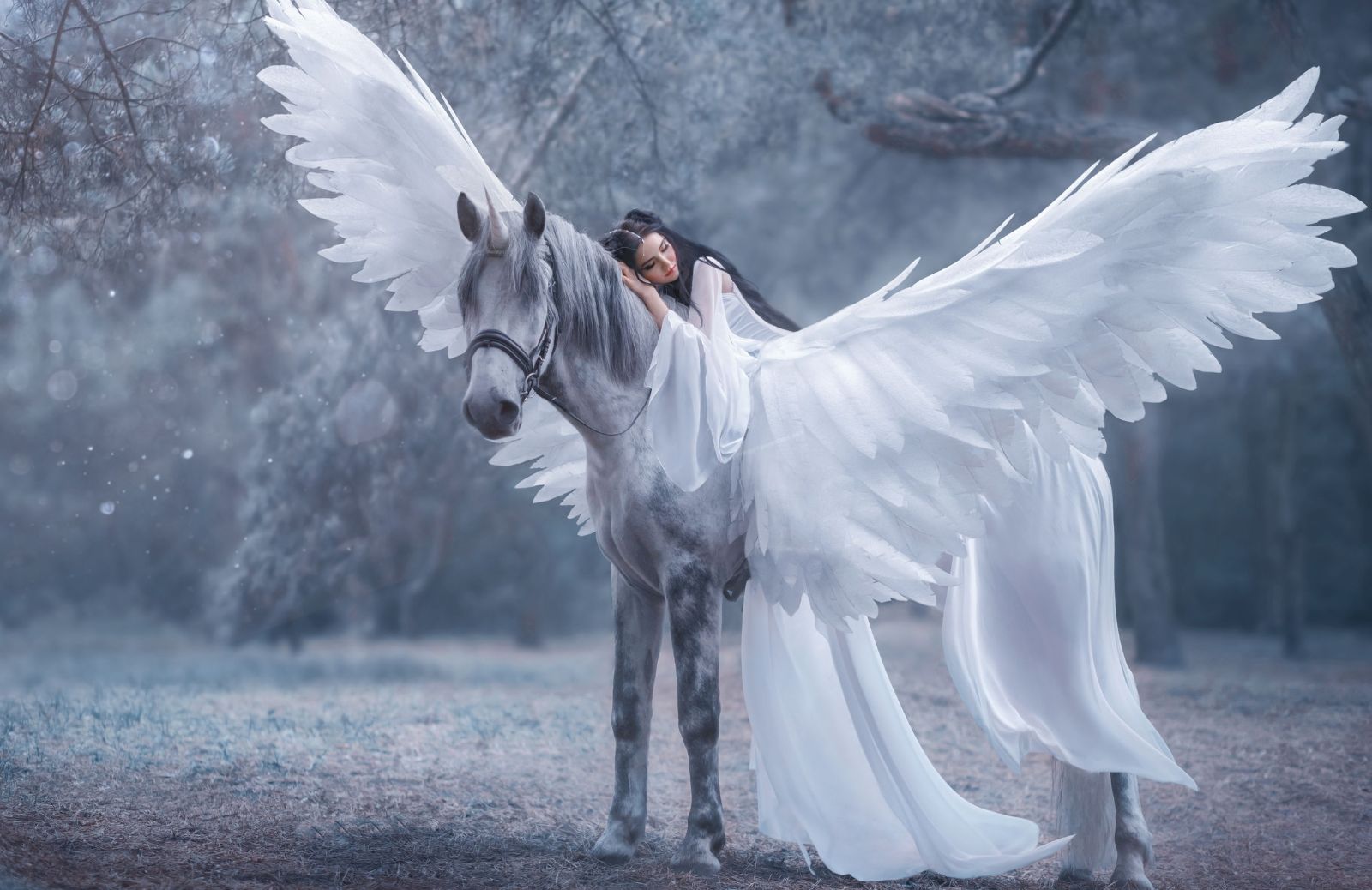 Unicorno: significato e simbologia di un animale leggendario