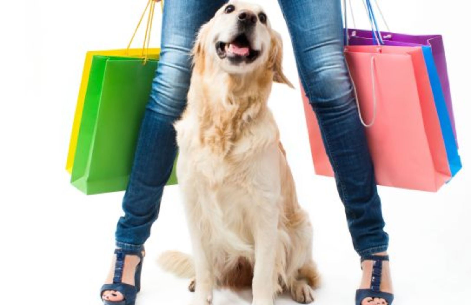 Come fare shopping col cane all'outlets Vicolungo