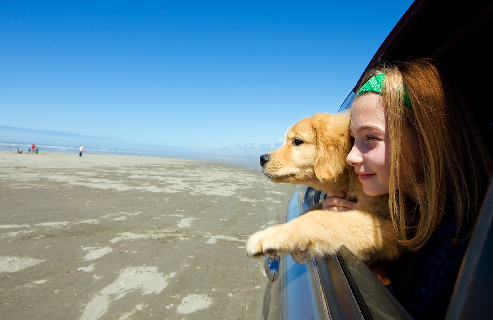 Come viaggiare serenamente in auto con il proprio cane