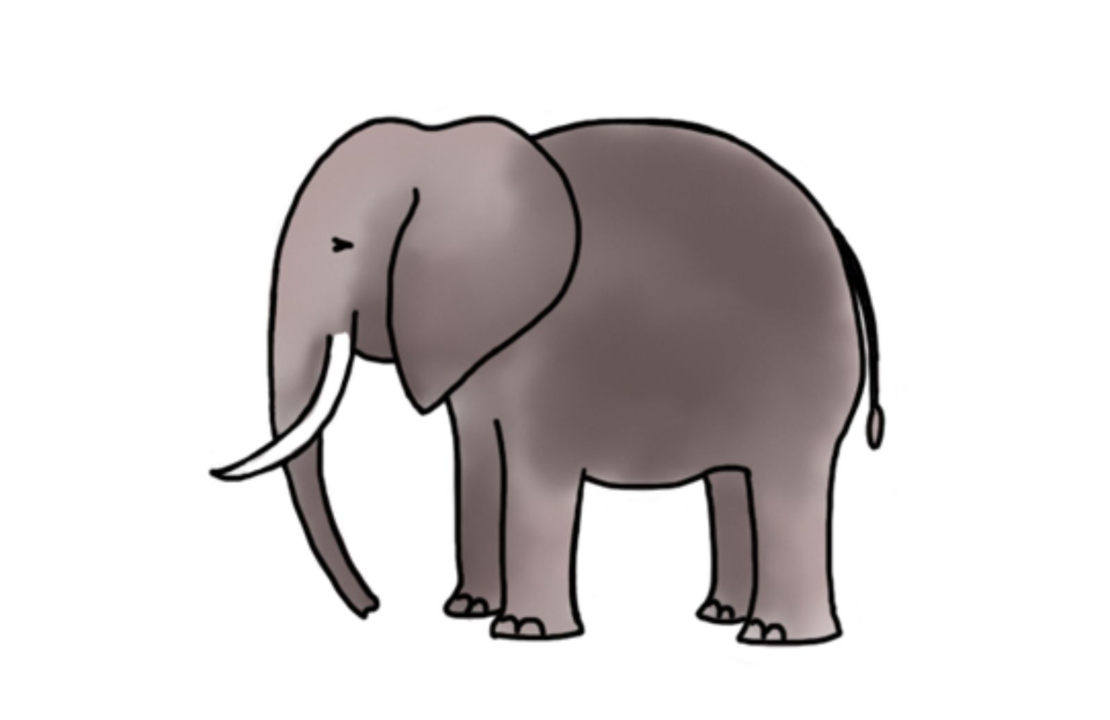 Come disegnare un elefante
