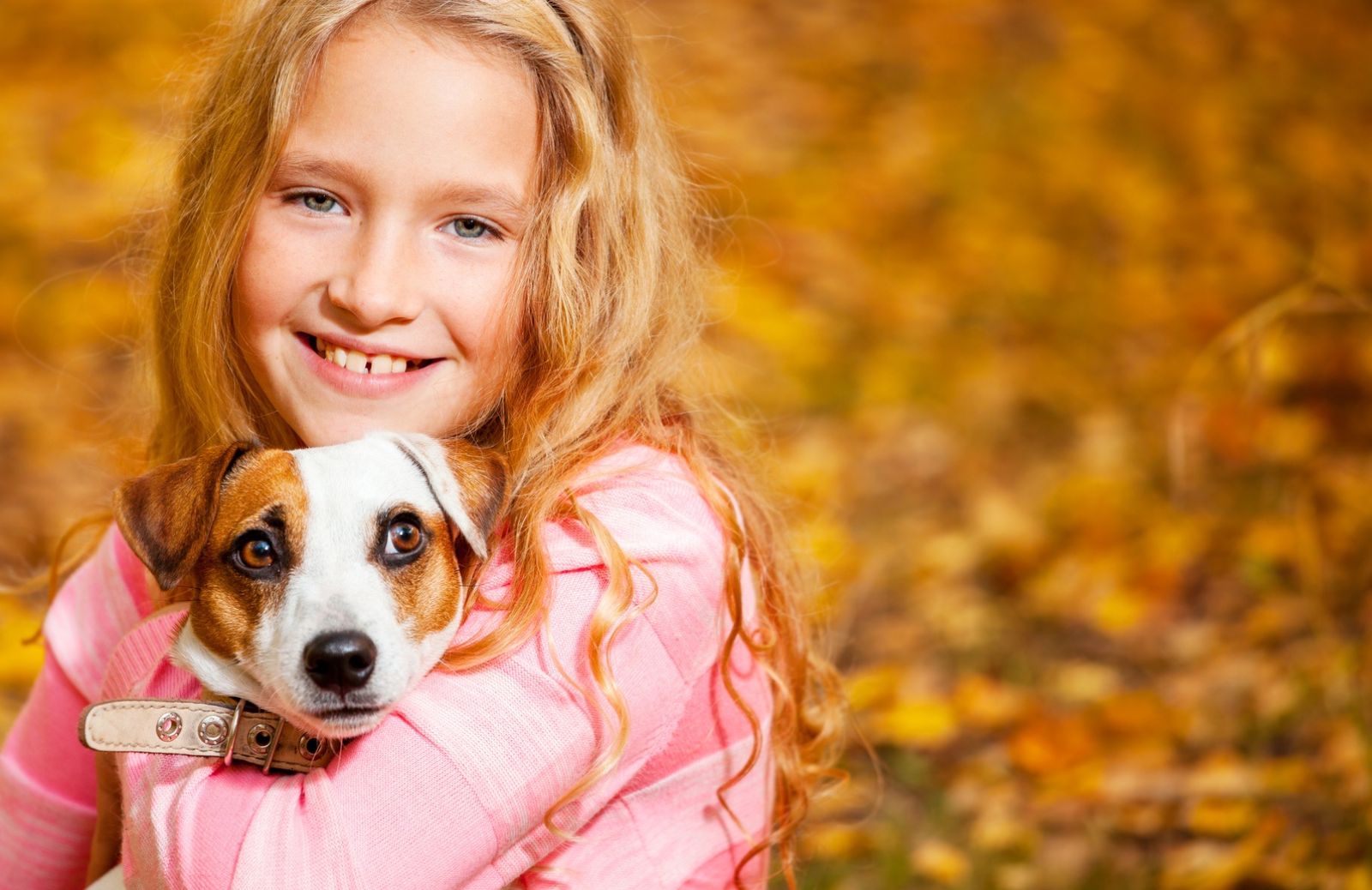 I Love Fido: 10 motivi per adottare un cane
