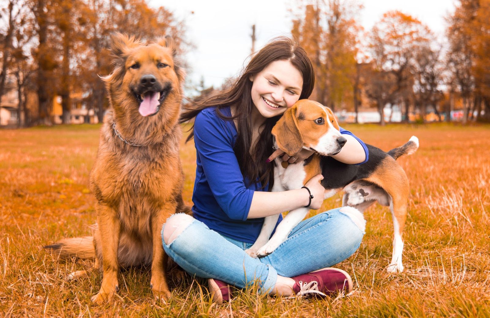 Leishmaniosi del cane: prevenzione e cura in autunno