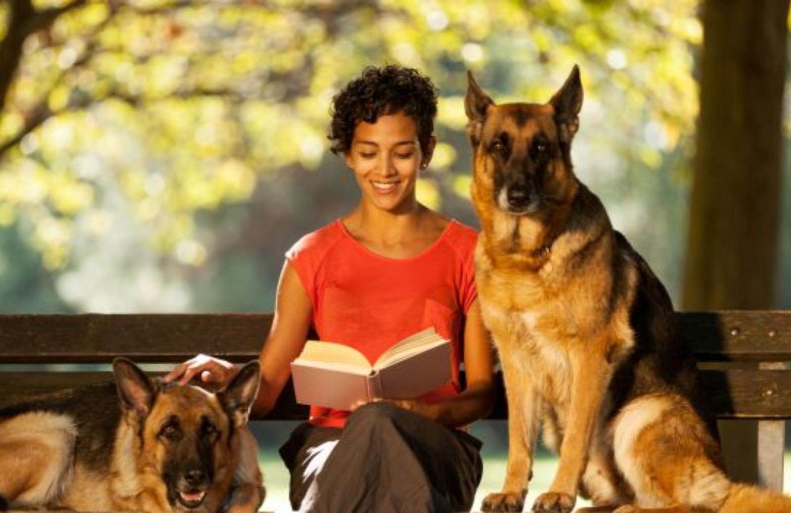 Cinque libri da leggere per chi ama i cani