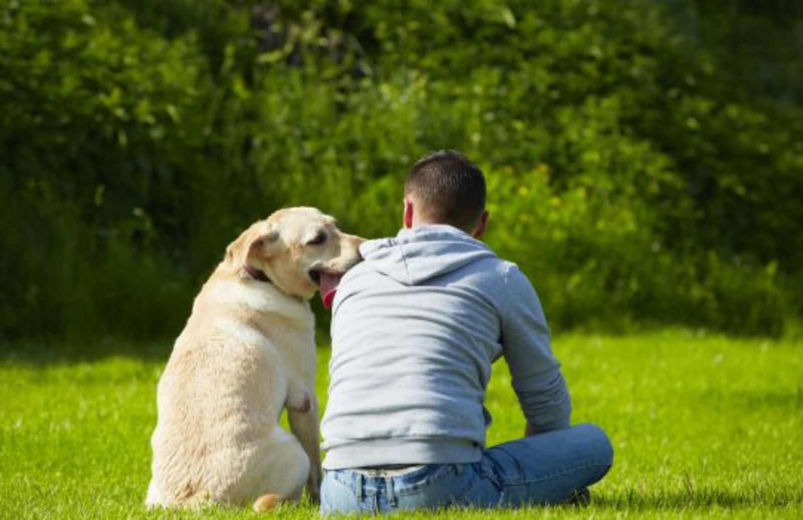 I cani riescono a prevedere i comportamenti umani