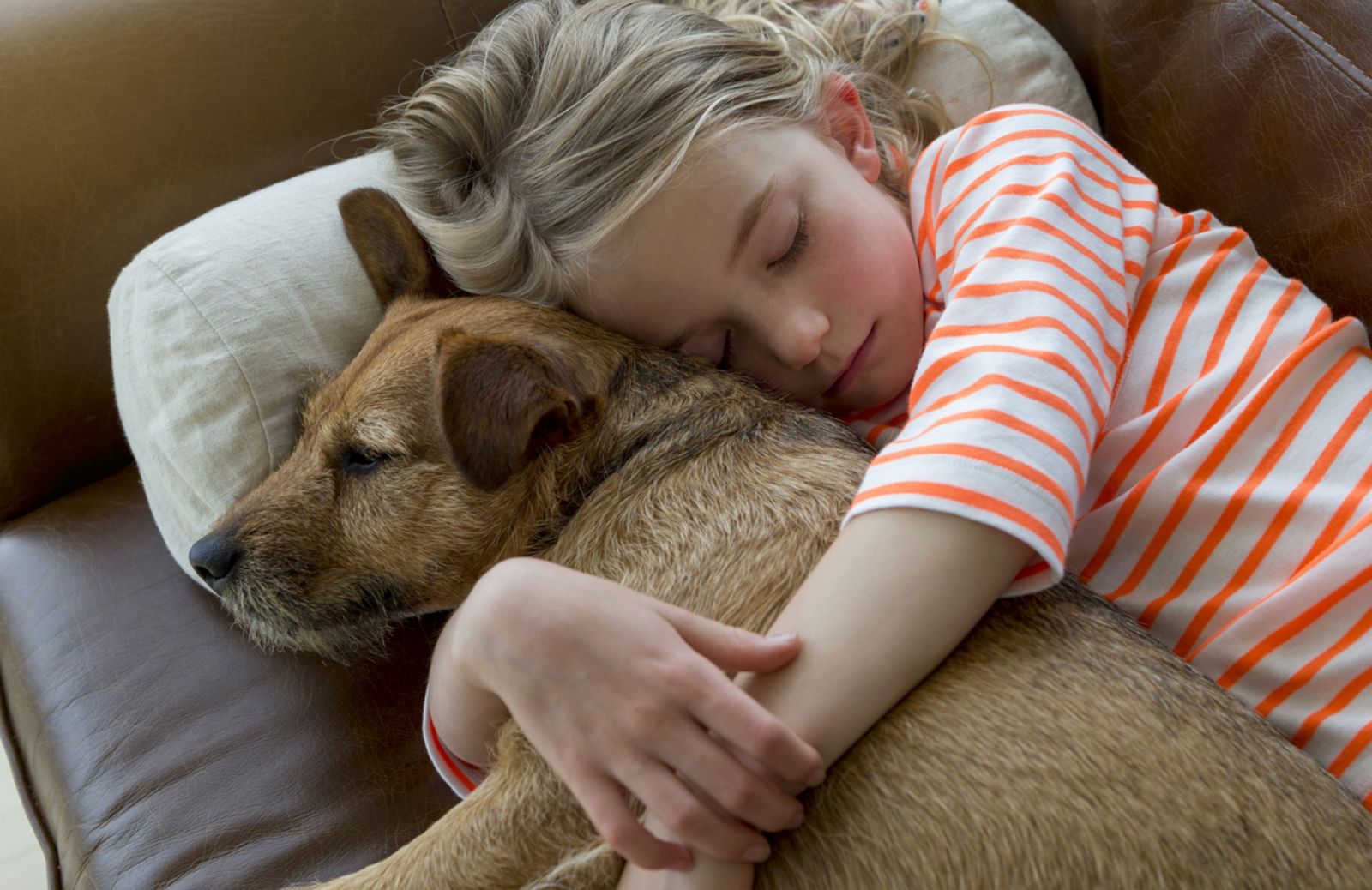 La pet therapy del sonno: dormire con gli animali fa bene