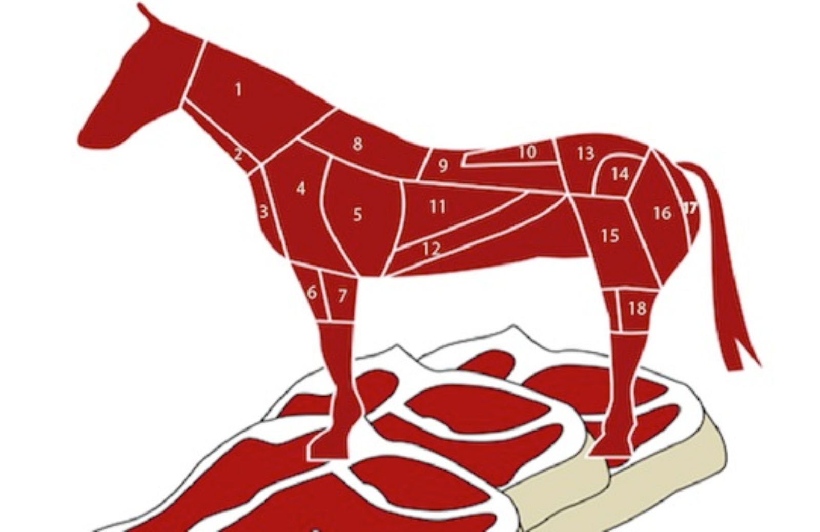 Come conoscere la carne di cavallo