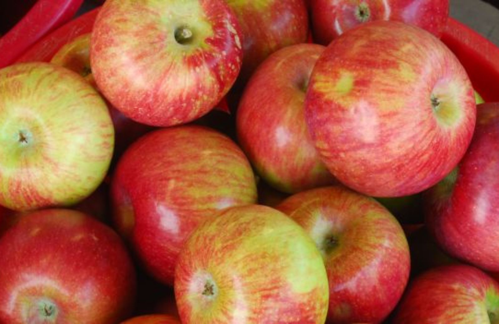 Come scegliere mele naturali e sane