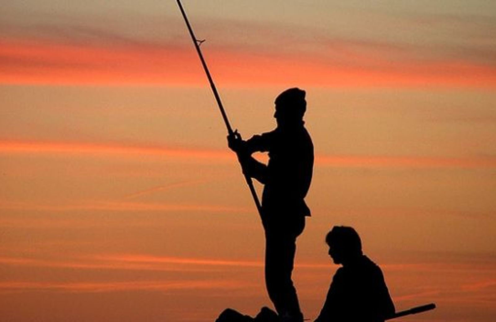 Come funziona la pesca sostenibile: il metodo catch & release