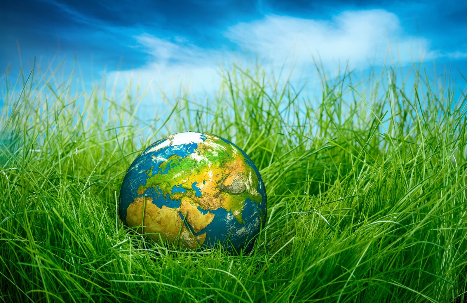 Giornata Mondiale dell'Ambiente: il 5 giugno si celebra Madre Natura