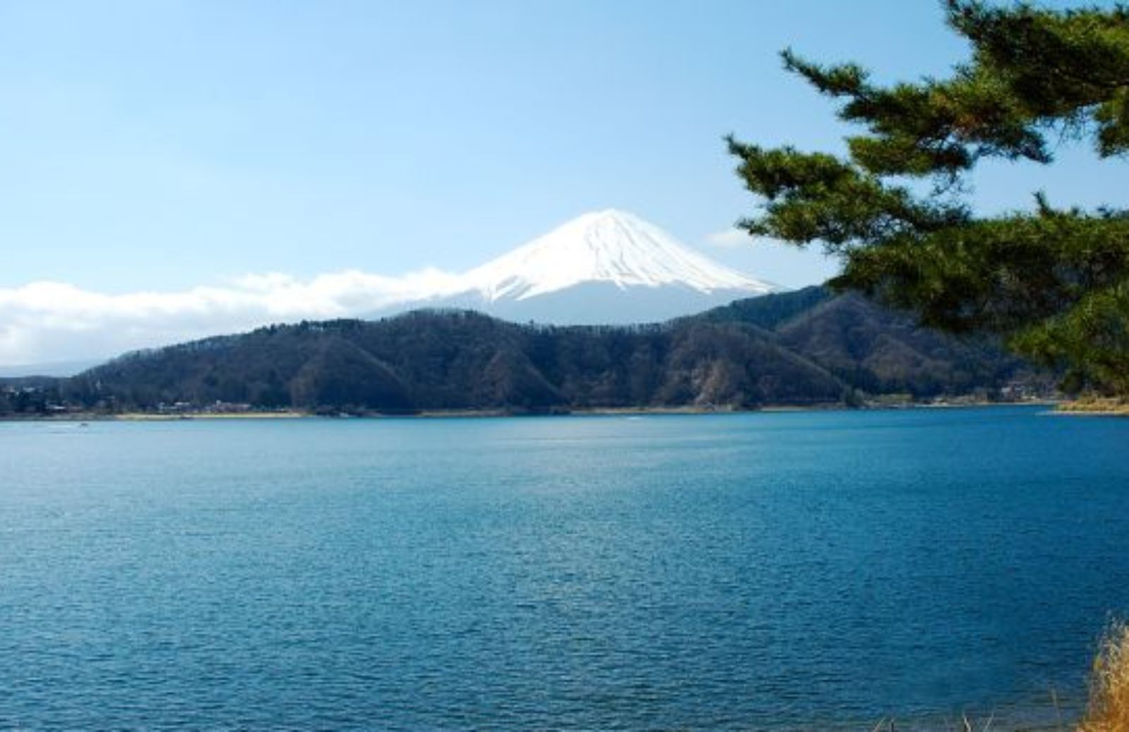 Grave situazione ambientale sul monte Fuji