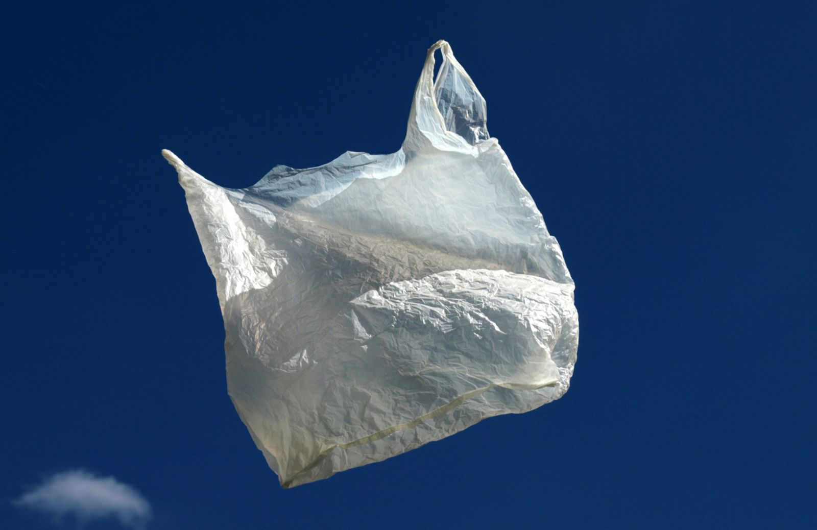 Nuove multe per chi vende sacchetti in finta plastica bio 