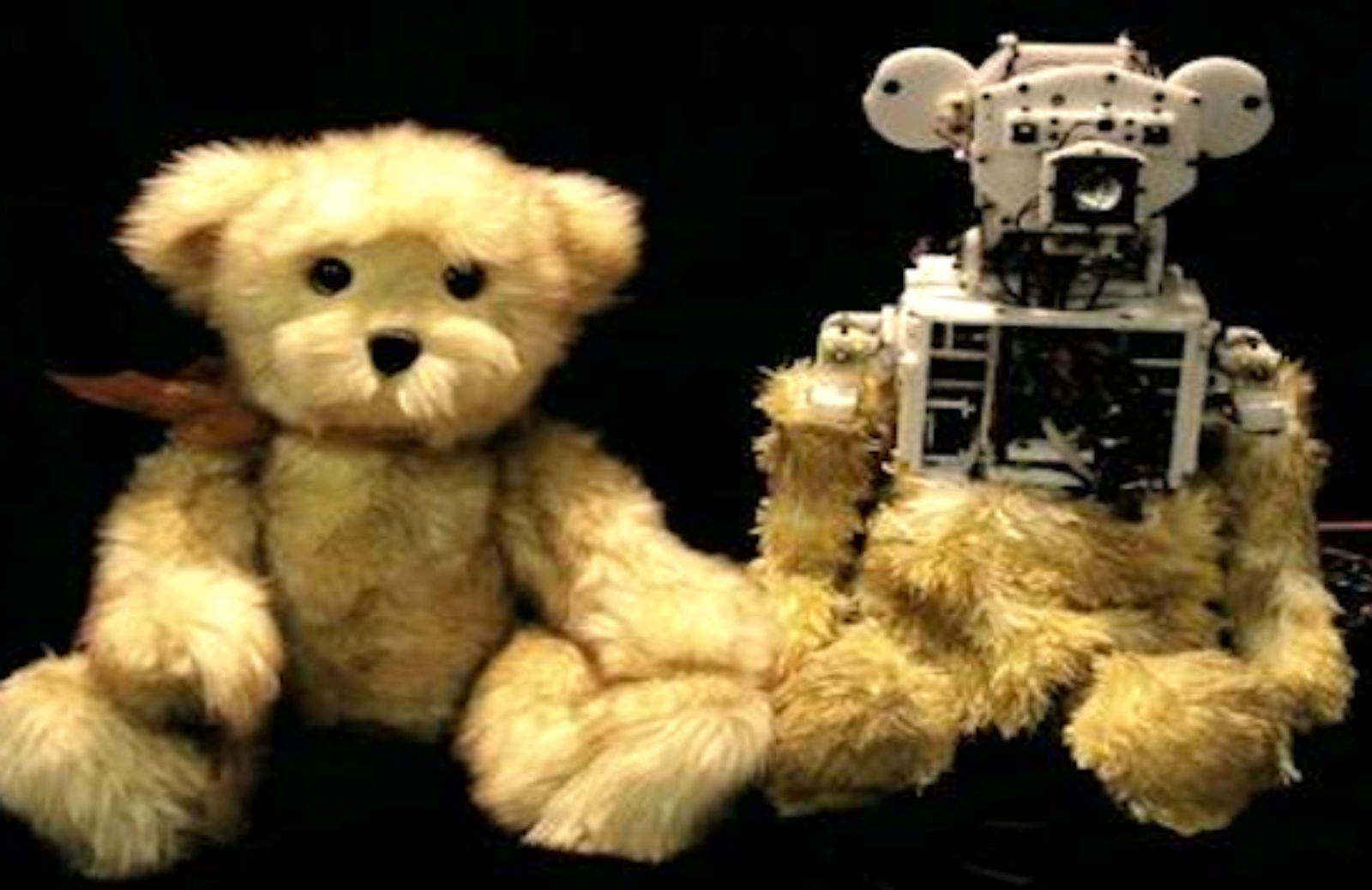 Huggable, un orsetto-robot che aiuta a curare i bambini