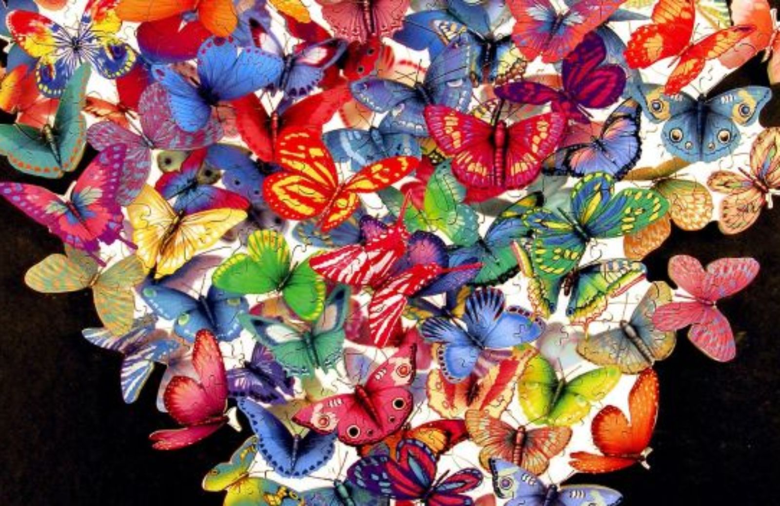 Come creare delle bellissime farfalle magnetiche