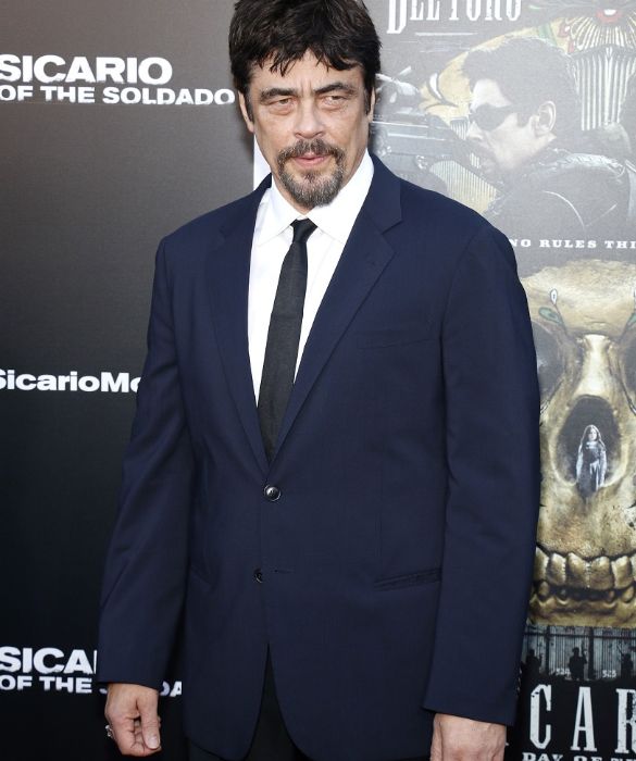 <p>Se parliamo di occhiaie, Benicio Del Toro non è secondo a nessuno a Hollywood. E poi c’è quella palpebra cadente, che gli rende lo sguardo più stanco, scuro, incupito. Cose che normalmente sarebbero negative e che invece rendono l’attore portoricano terribilmente sexy.</p>
