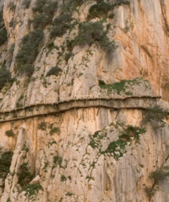 <p>L’Andalusia ha tantissimo da offrire, da Siviglia a Granada, fino a Cordoba e Malaga. A una cinquantina di chilometri dalla città più famosa della Costa del Sol c’è il Caminito del Rey, una stretta (1 metro) e lunga passerella di 3 km sospesa a 100 metri dal suolo lungo le pareti del canale chiamato Desfiladero de los Gaitanes.</p>
