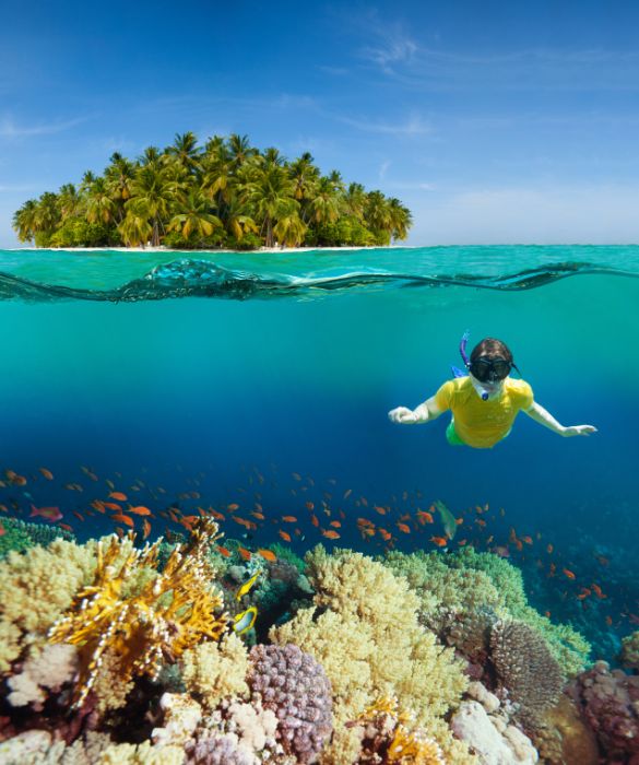 Vedere la barriera corallina può essere una delle esperienze più belle durante una vacanza. Purtroppo studi scientifici prevedono una scomparsa delle barriere coralline in futuro a causa di un continuo innalzarsi delle temperature del mare, ma anche a causa dell'inquinamento e della pesca intensiva.