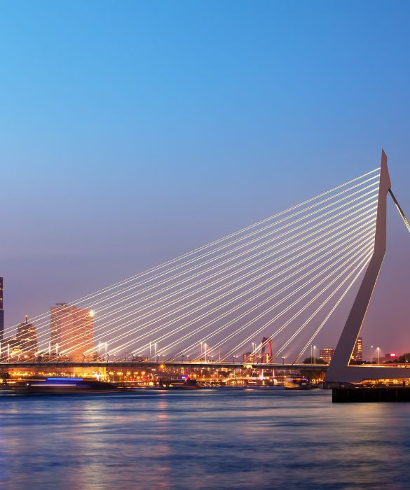 Vive sull'acqua, è giovane, internazionale e vanta strutture architettoniche moderne e bellissime da ammirare. Rotterdam è una città tutta da vivere!