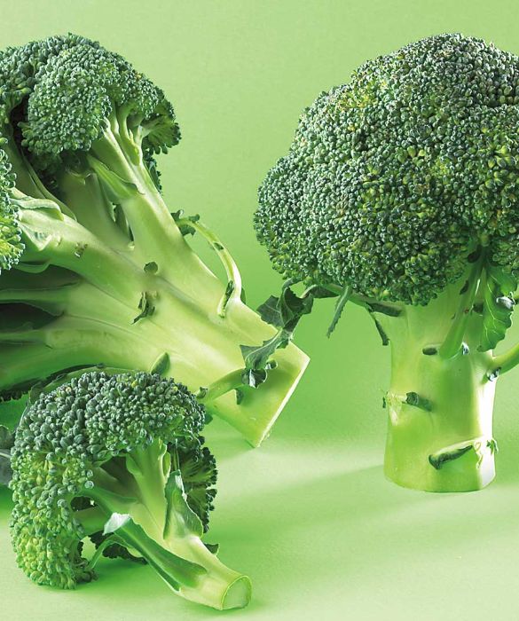 I broccoli sono una verdura dalle infinite qualità. Antiossidanti naturali, depurativi, diuretici e antistress, sembrano avere la magica capacità di rallentare l'invecchiamento cellulare e di combattere il senso di affaticamento. In più sono ricchissimi di vitamina C e sali minerali, l'avreste mai detto?
