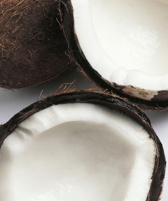 Il cocco è un frutto assai calorico, infatti 100 grammi di polpa apportano ben 360 calorie, però contiene importanti sali minerali quali magnesio, potassio, rame, fosforo, zinco, ferro, vitamine del gruppo B e fibre vegetali.