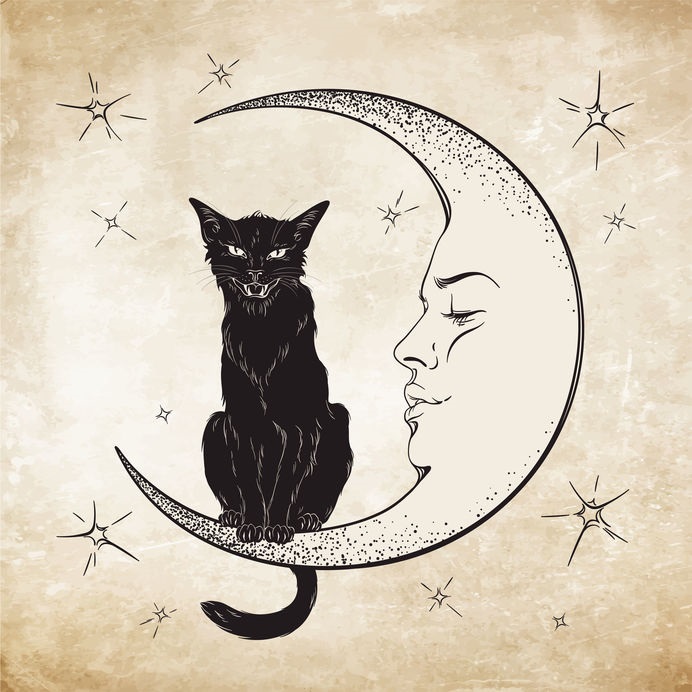 sognare gatto nero significato