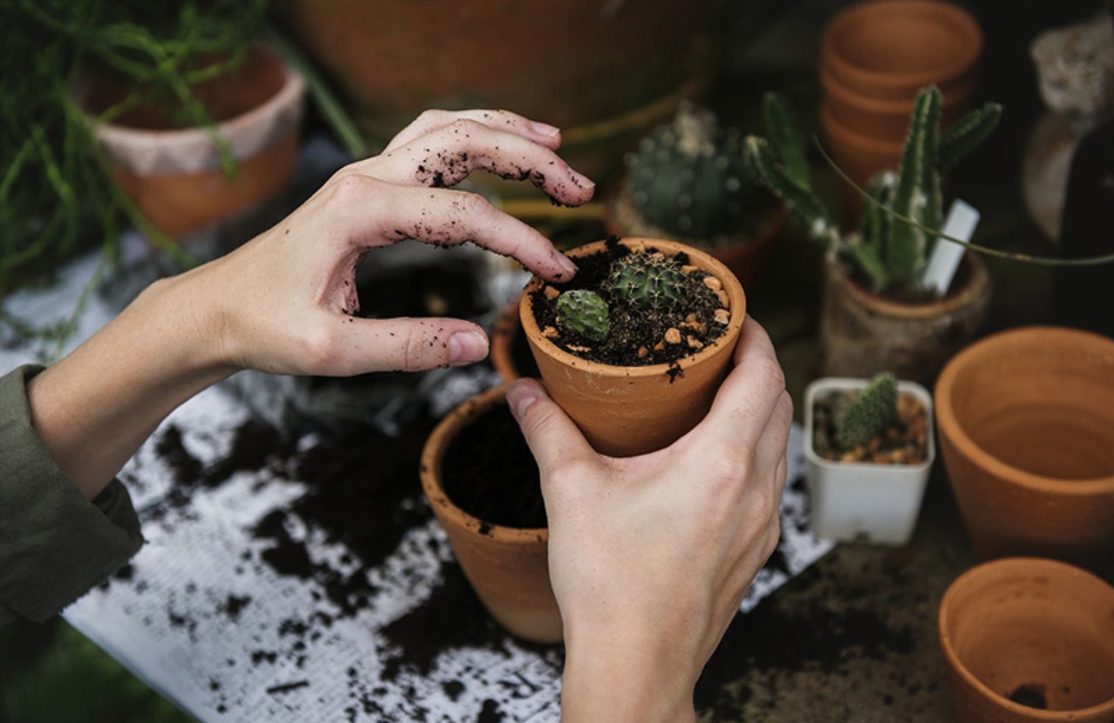 10 vasi fai da te per abbellire il tuo giardino