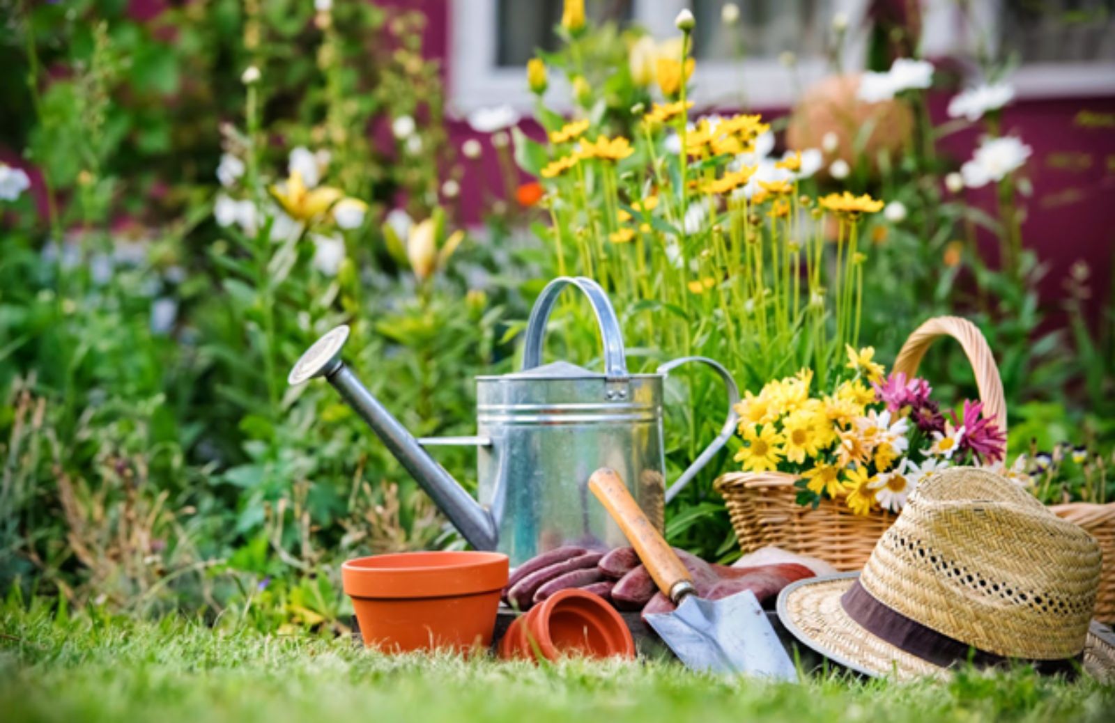 I 10 arnesi indispensabili per fare giardinaggio