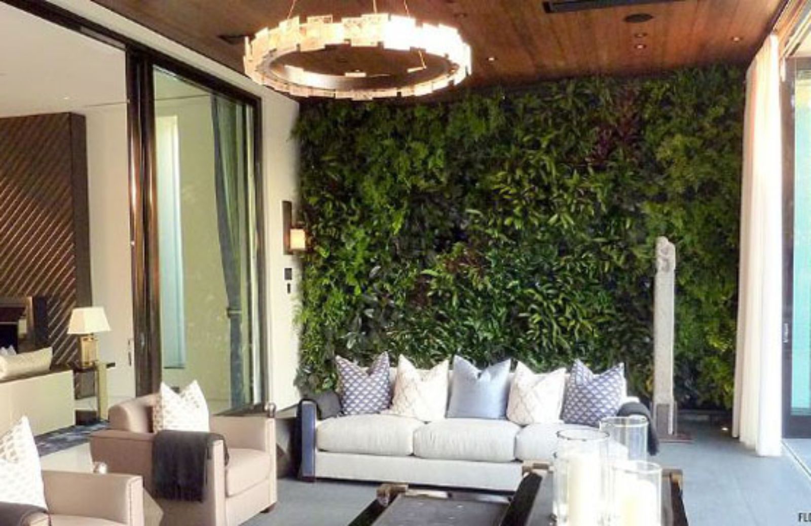 Le 5 piante per creare una parete verde indoor