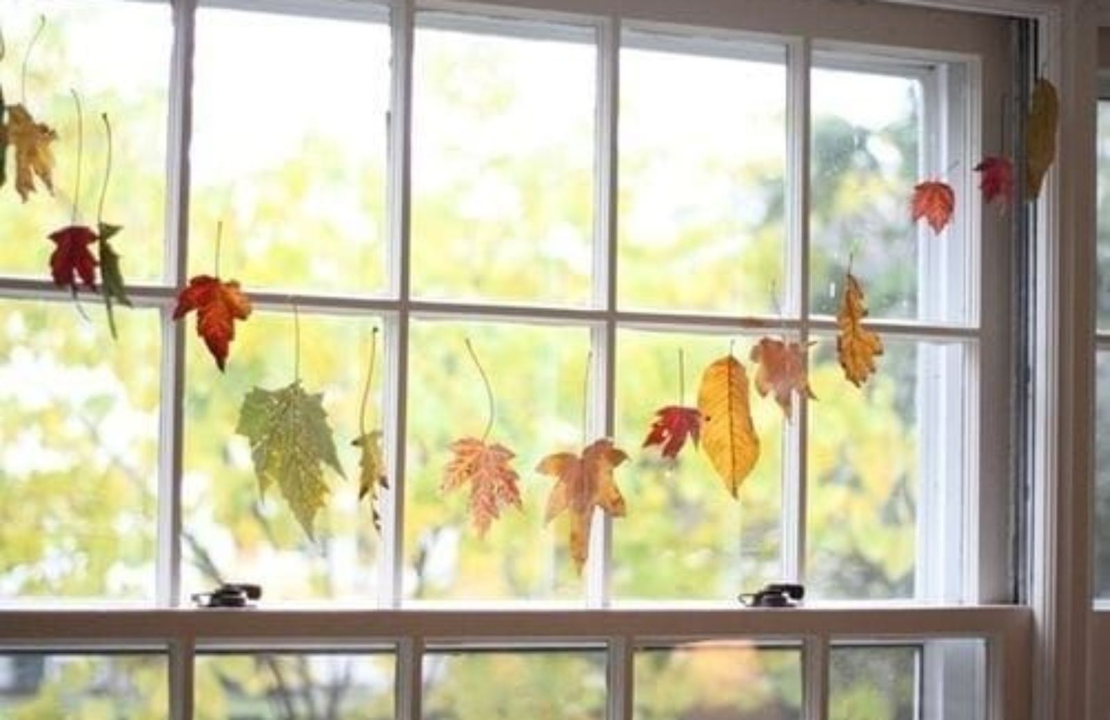 Riciclo naturale: decorare casa con le foglie secche