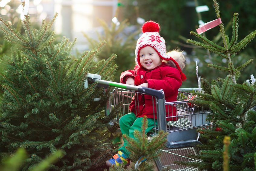Fare un albero di Natale eco-friendly: meglio vero o finto?