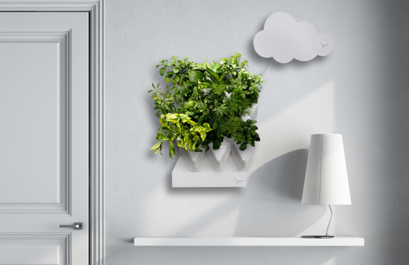 Con Plug & Plant il giardino verticale in casa diventa facile