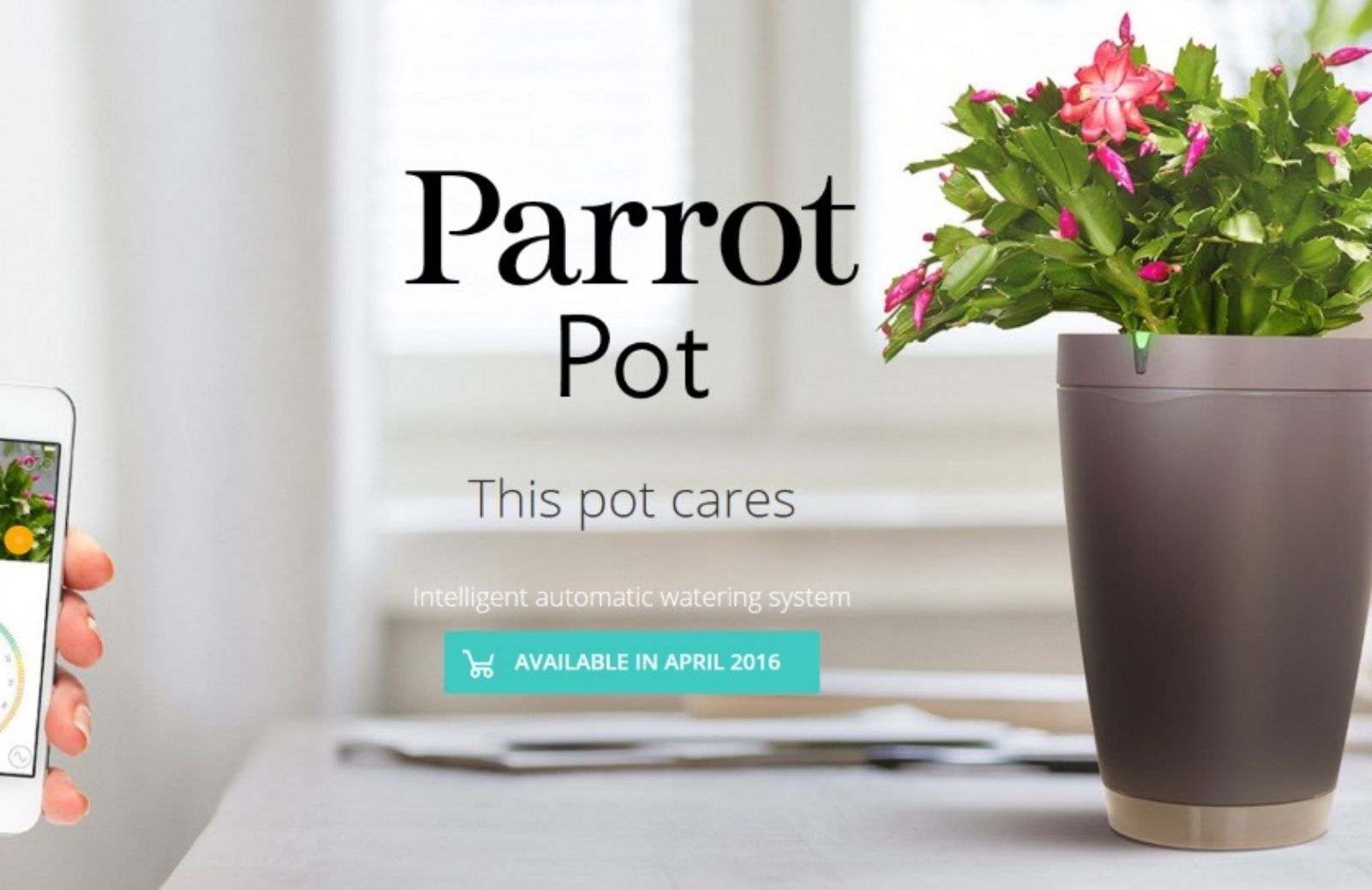 Parrot Pot, il vaso che innaffia le piante da solo