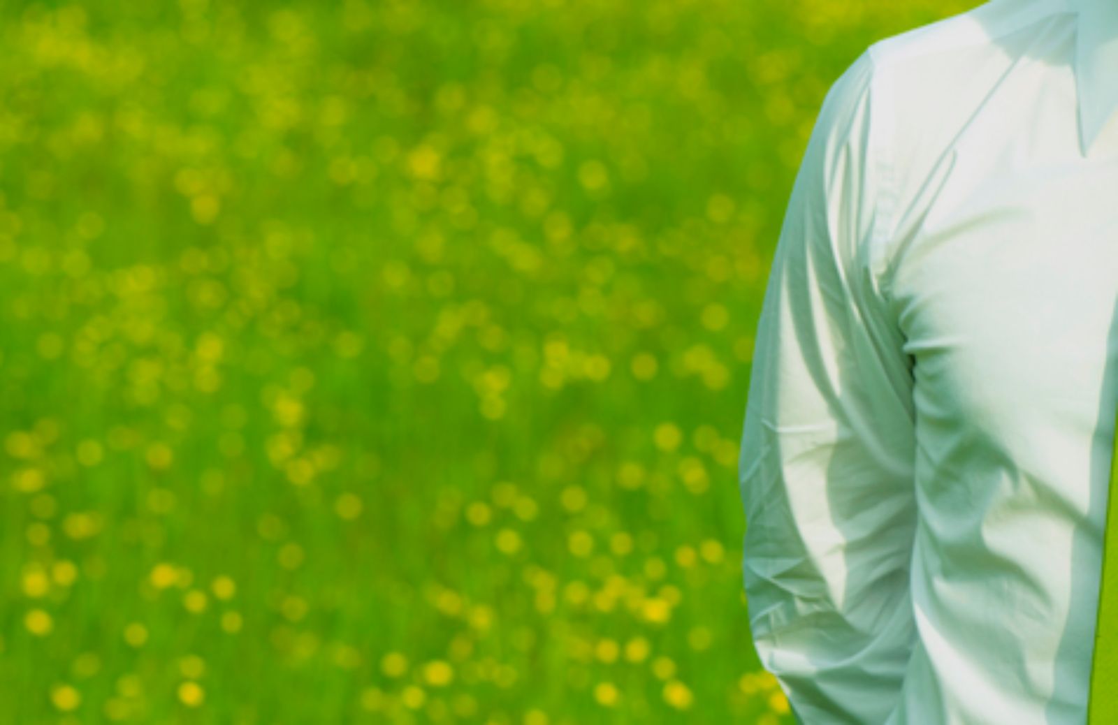 I 5 green jobs più richiesti 