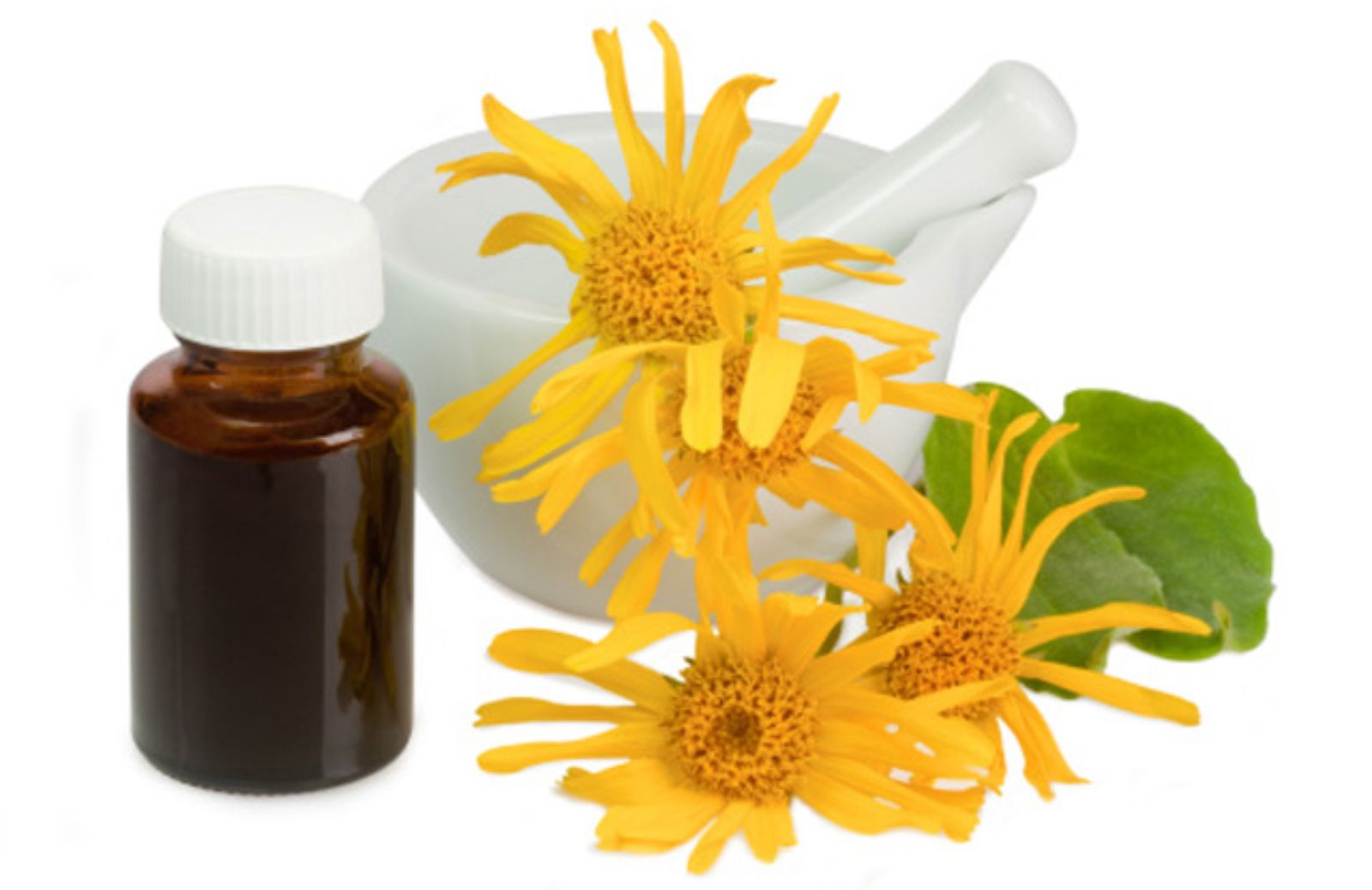 I 5 impieghi curativi dell’arnica