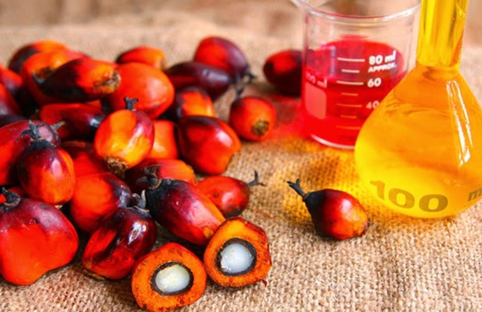 I 5 motivi per non usare l’olio di palma