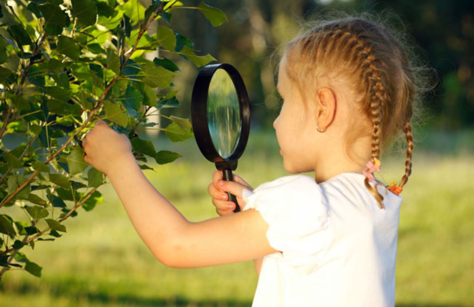 Le 5 abitudini per incoraggiare i bambini a rispettare la natura
