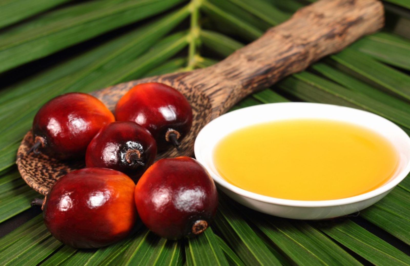 E' vero che l'olio di palma fa male?