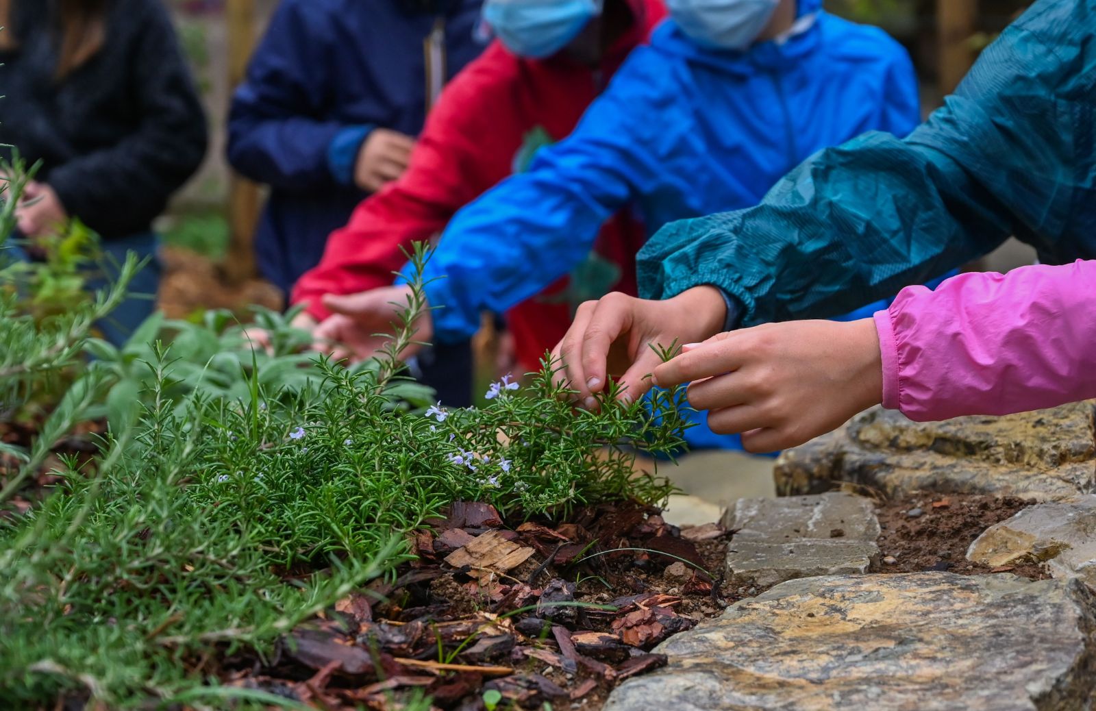Aule natura WWF, un progetto per portare nelle scuole il verde che manca