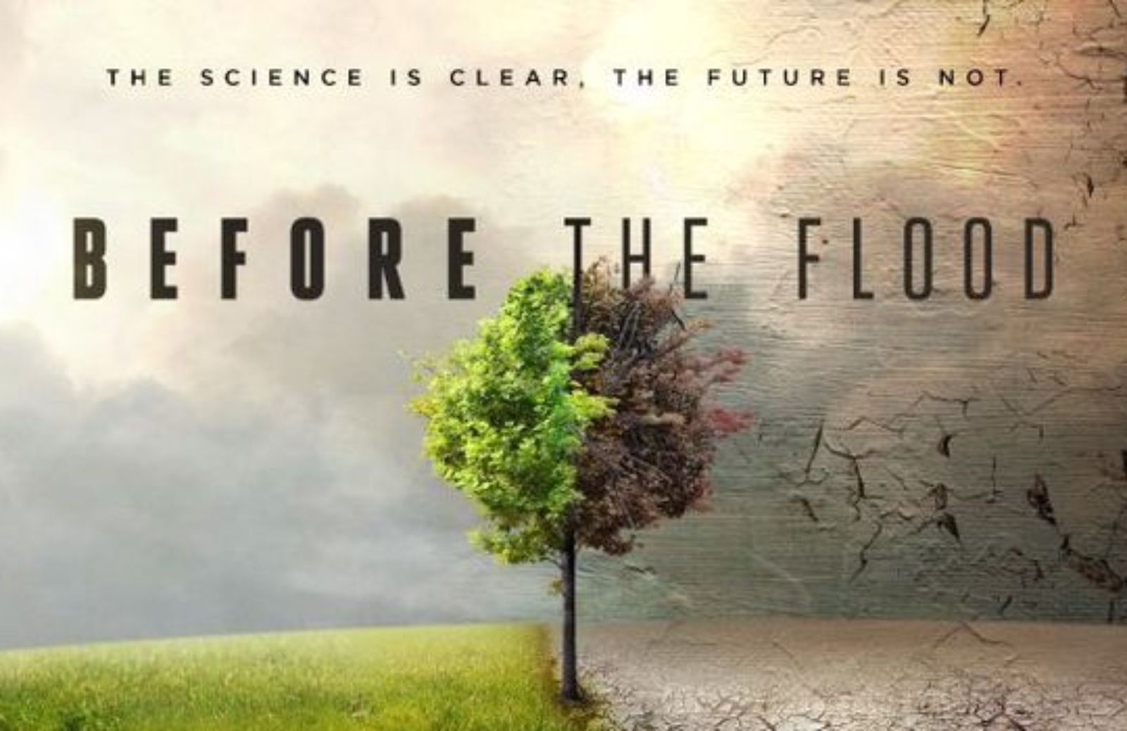 Before the Flood: il documentario di DiCaprio sul riscaldamento globale