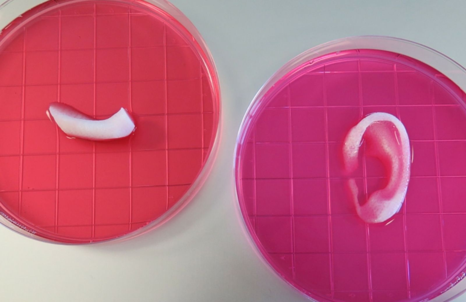 ITOP: la bio-stampa 3D che produce organi