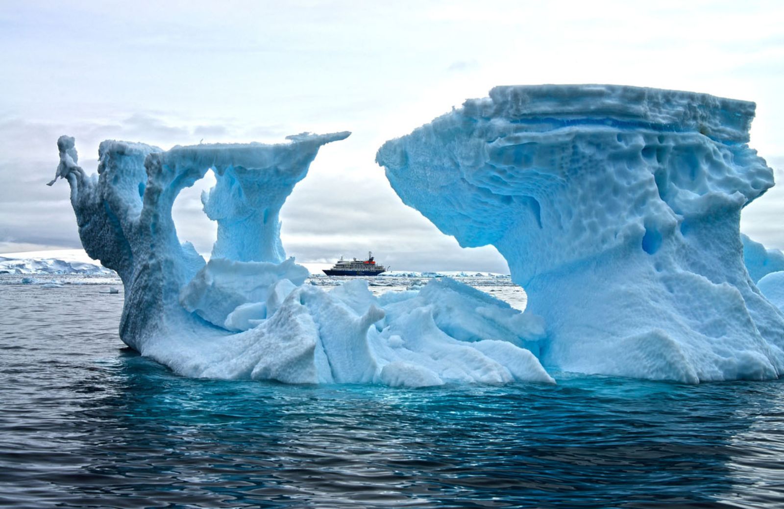 In Antartide nasce il parco marino più grande della Terra. 