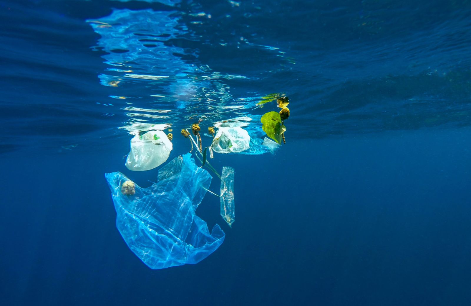 Isole di plastica nel mar Mediterraneo