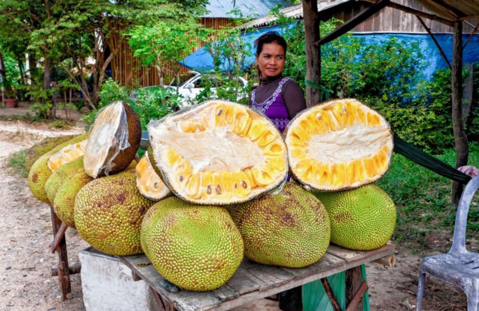 Jackfruit, contro la fame nel terzo mondo