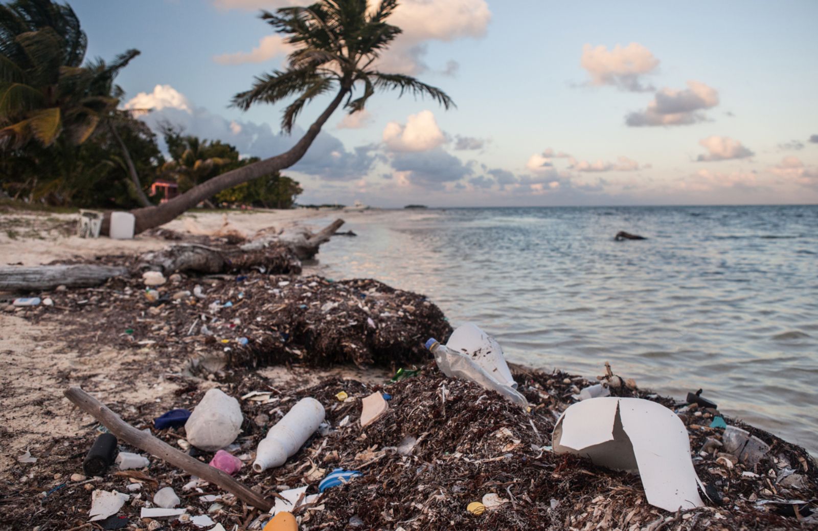 La microplastica è il killer dei mari