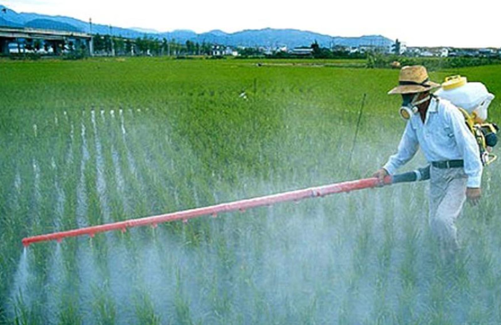 Rapporto Ispra: aumentano i pesticidi nelle acque italiane